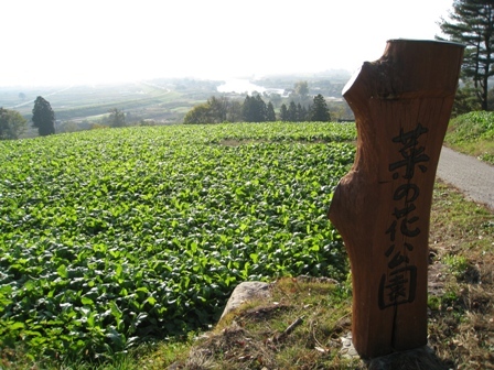 小暮BLOG: 地域活性化のお手伝い アーカイブ